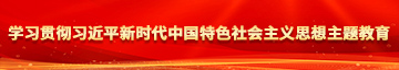 看黄色啊啊啊学习贯彻习近平新时代中国特色社会主义思想主题教育